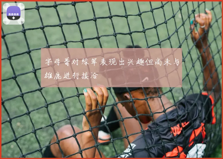 字母哥对绿军表现出兴趣但尚未与雄鹿进行接洽
